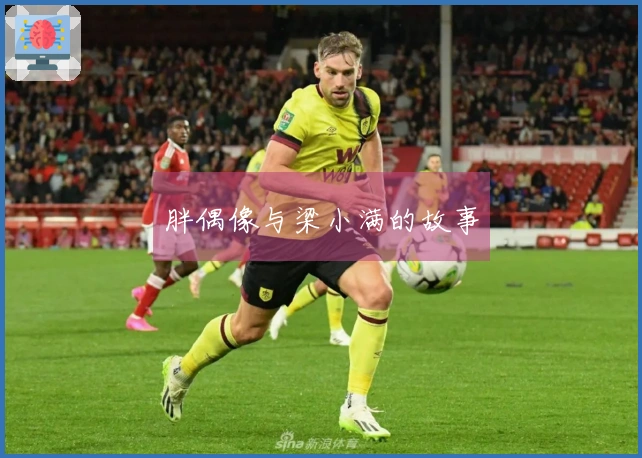 胖偶像与梁小满的故事