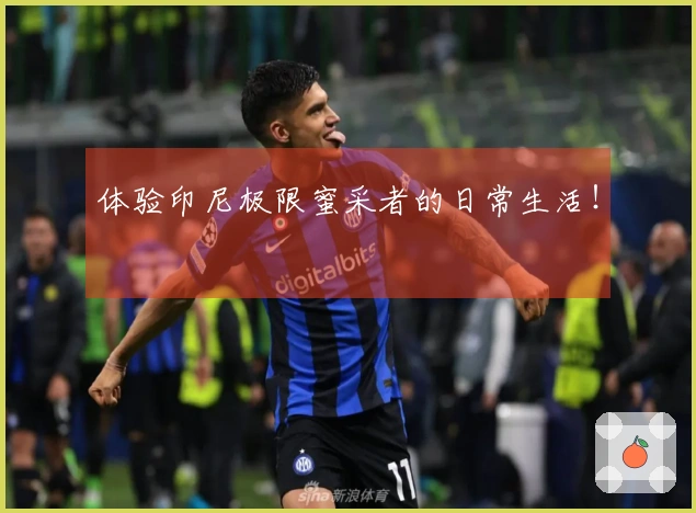 体验印尼极限蜜采者的日常生活！