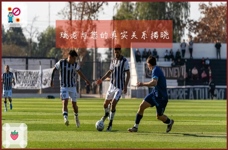 璃龙与您的真实关系揭晓