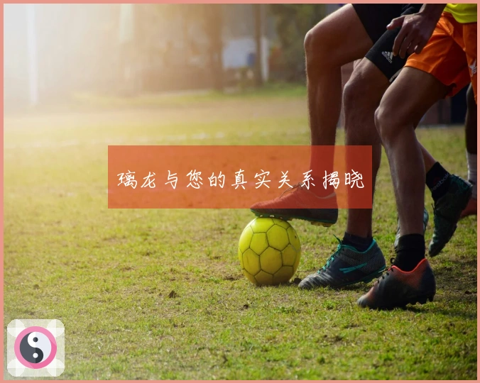 璃龙与您的真实关系揭晓